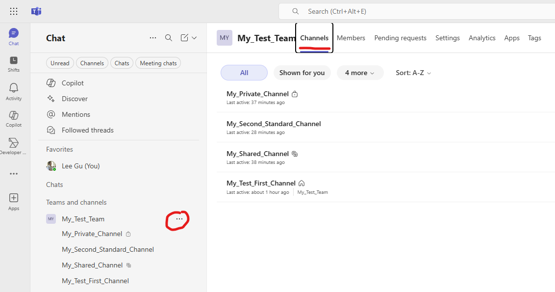 That is how a normal teams team look like (list of channels)